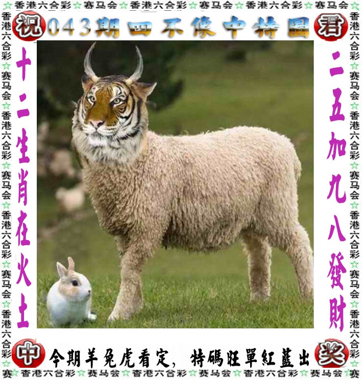 03448.com�������������С���